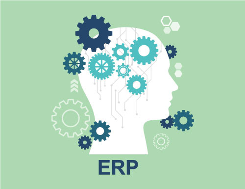 ERP Implementations & Customizations